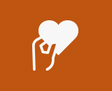 Icon of a hand holding a heart